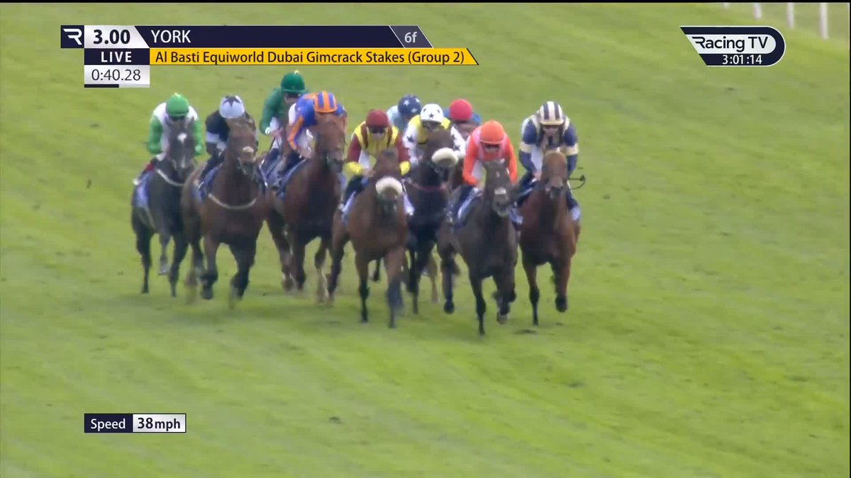 Four from four! Arapaho Gold (Bayside Boy) remains unbeaten in the £250,000 Group 2 Al Basti Equiworld Dubai Gimcrack Stakes for Michael Dods Racing 🥇 York Racecourse