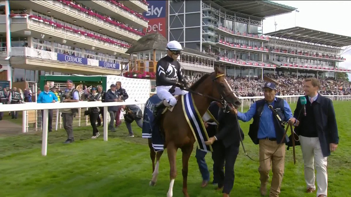 "He was ALL FIRE!" 🔥 What a performance from Bacio and Juan Hernandez 🇺🇸🇲🇽