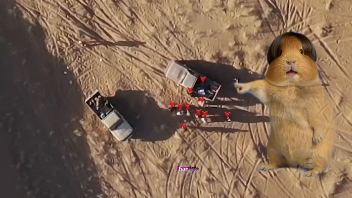 صديقي الهامستر يعود لكم من جديد برقصة جديدة 🐹🚀 وهذه المرة على الاحتلال السعودي 🤳
