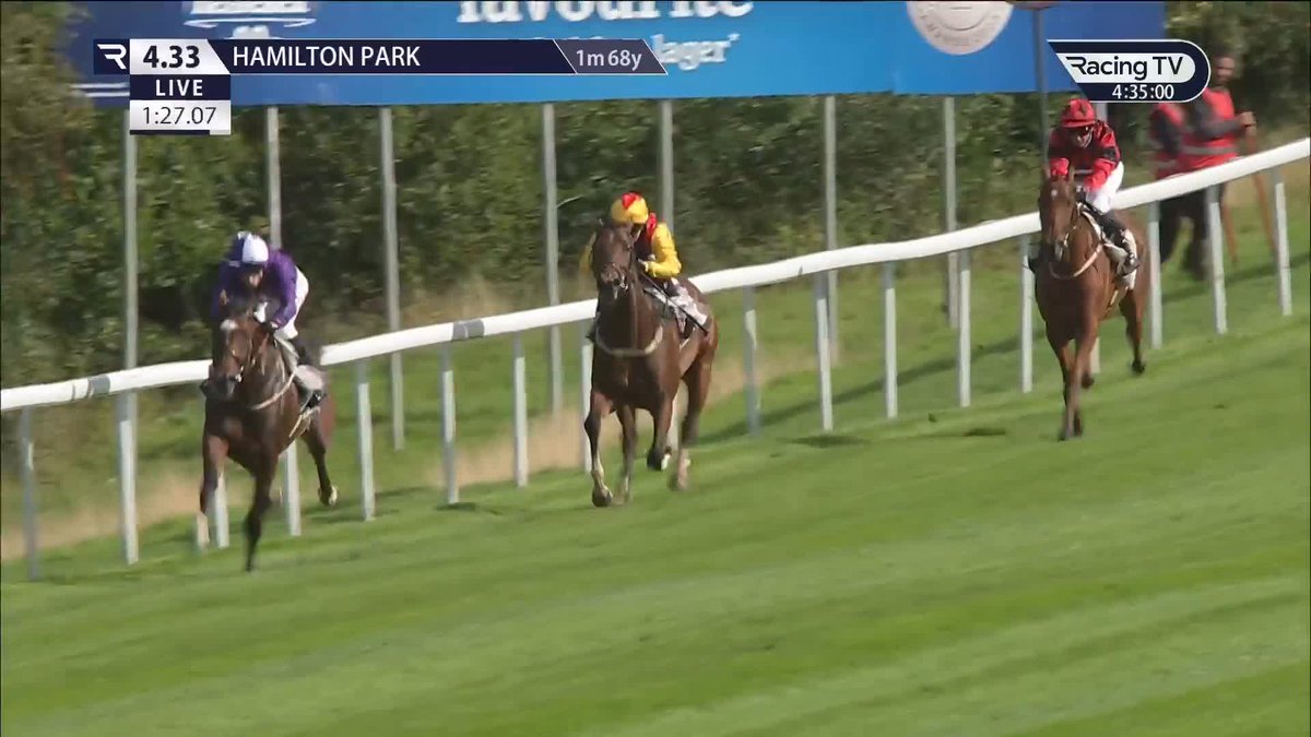 The smart Pikachu bolts up to get off the mark in the opener on a high-class for Johnston Racing and Amo Racing at Hamilton Park