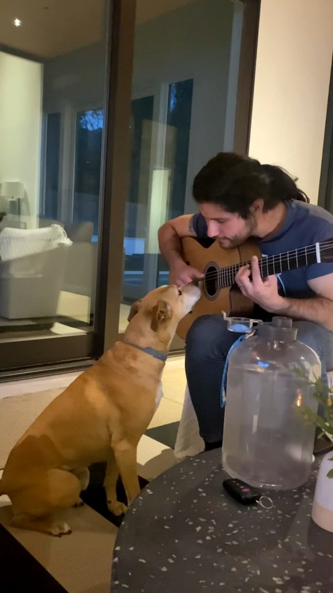 Dogs In Our Twenties is a tribute to the dogs who are with us through the most pivotal years of our lives. They teach us about love, they teach us about trust, and one day when our hearts can’t even handle it, they teach us about loss. We know dog songs aren’t always the easiest to listen to, but we needed this one to exist in the world. It’s dedicated to all the dogs who are with us today, and the ones who will live forever in our memories. ❤️