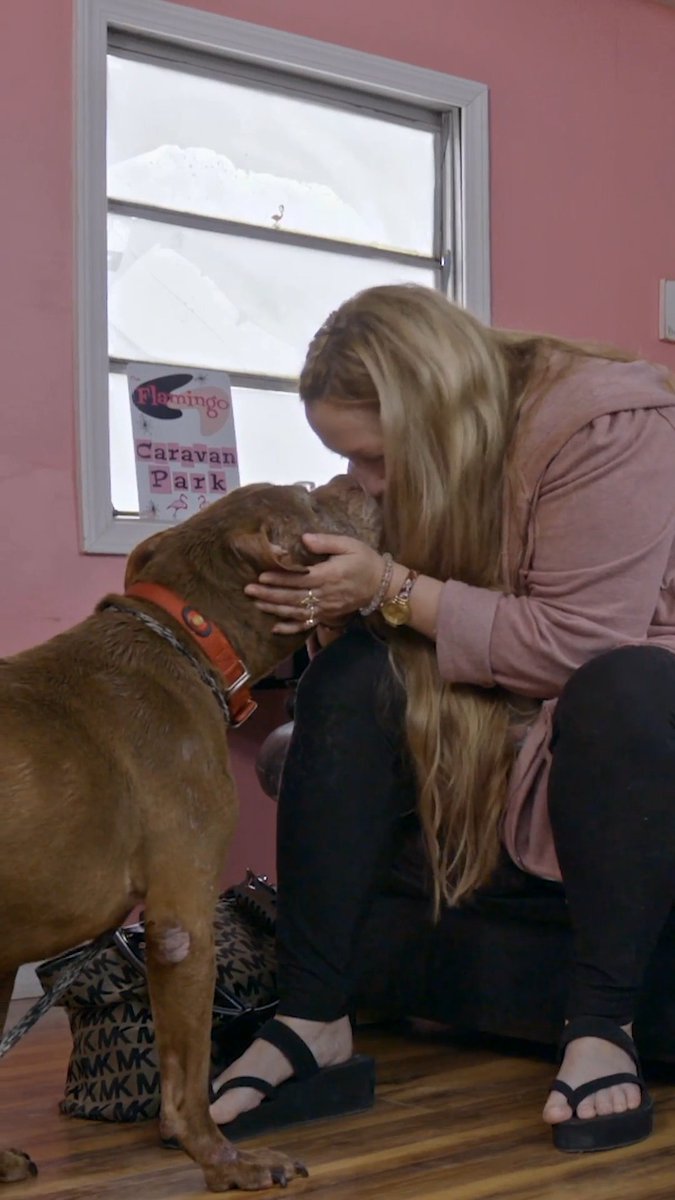 Oldest dog FINALLY finds a home! 🏠🥹 #pitbullsandparolees #dog