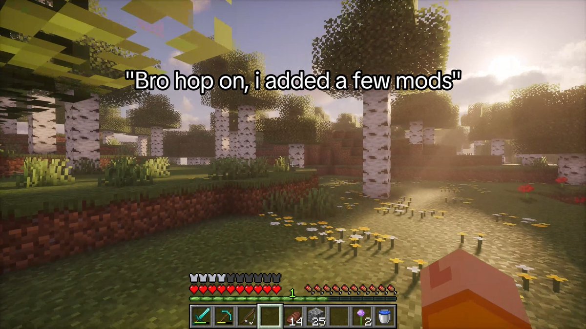 bro hop on, i added a few mods