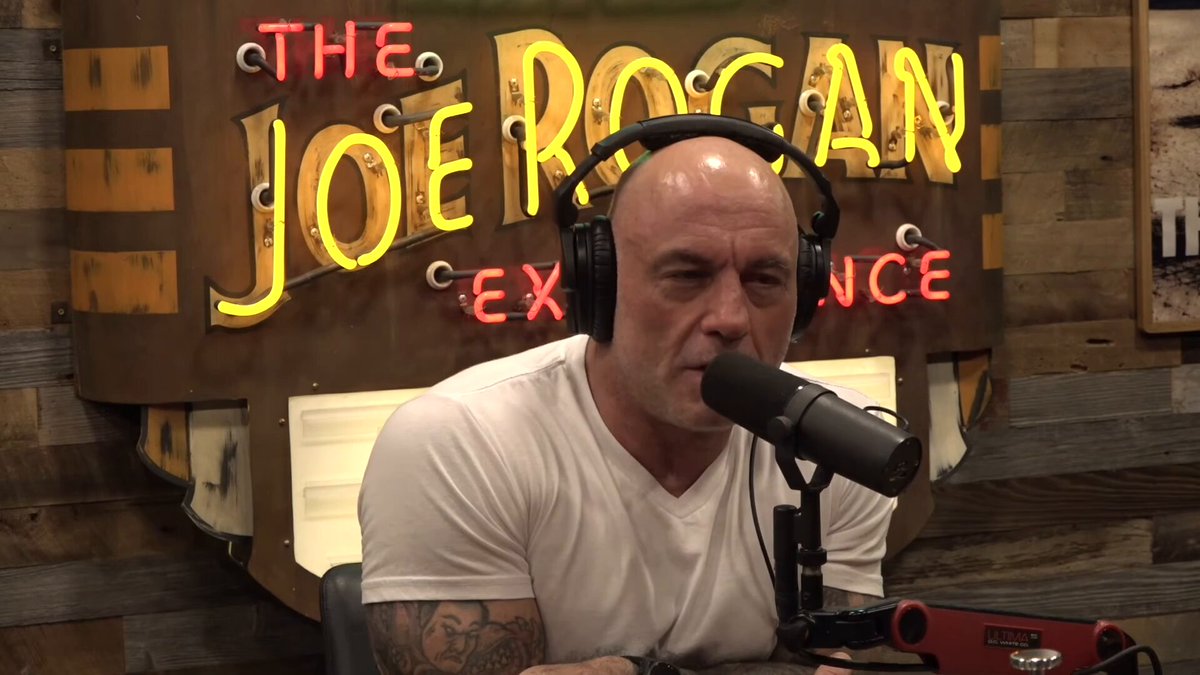 I'm working on a theory that Joe Rogan may be the stupidest man who has ever lived