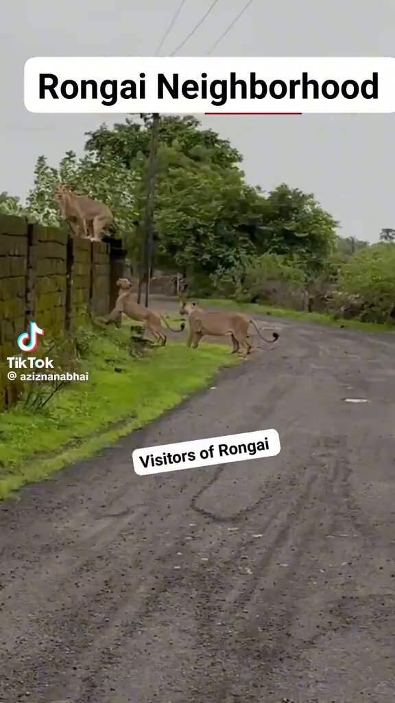 Another example of design vs. user experience An you imagine umekaa hapo ndani unaota jua ya saa kumi Then goons show up
