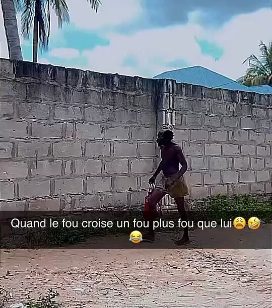Le fou a enfin trouvé plus fou que lui 😂😂