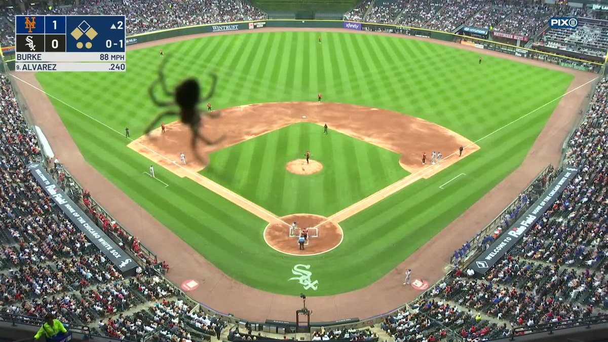 It's a brand new day. 🕷️