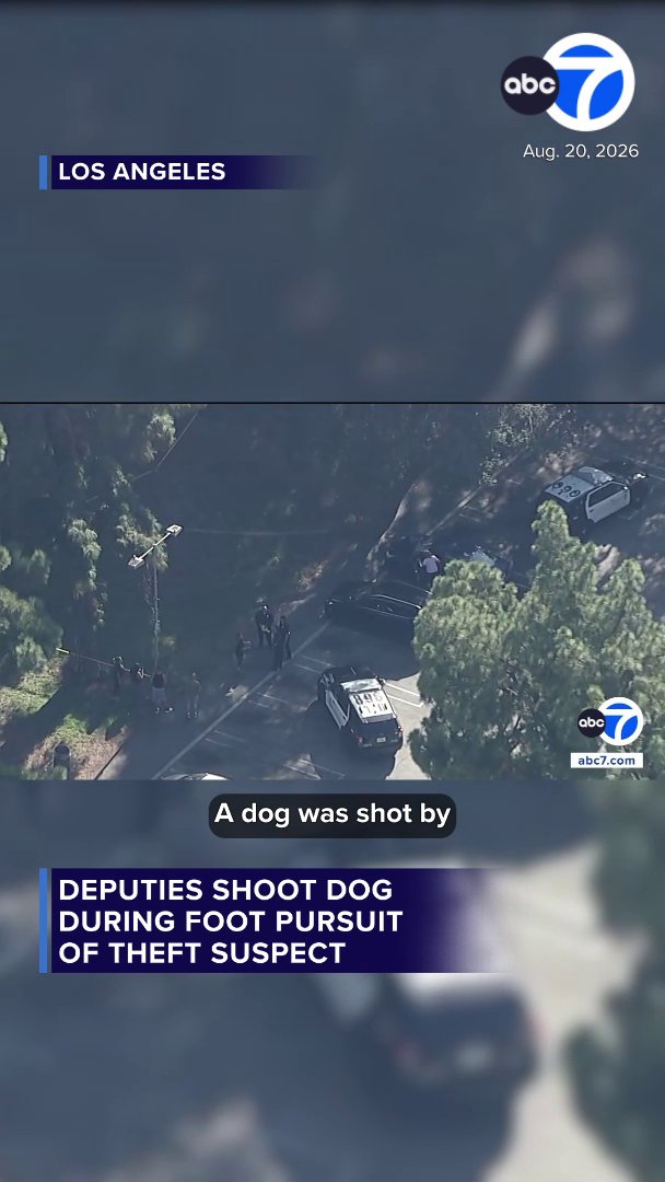 The Los Angeles County Sheriff's Department says deputies were chasing someone wanted for theft, but as they were detaining the suspect, a pit bull attacked one of them. That's when a deputy shot the dog. The sheriff's department said one deputy used less-lethal force, deploying a Taser on the dog, but it had no effect. Then, when the pit bull continued to attack, a deputy opened fire.