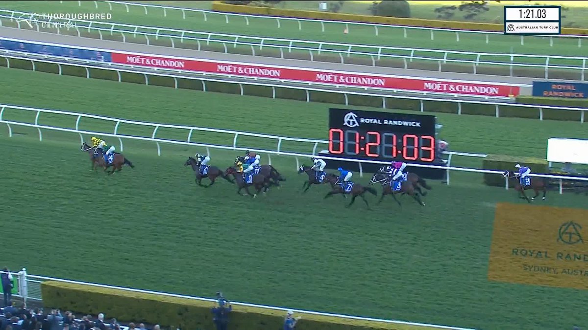 AUTUMN GLOW DOMINATES AND WINS THE WINX! 💛🖤 James McDonald Chris Waller Racing World Pool