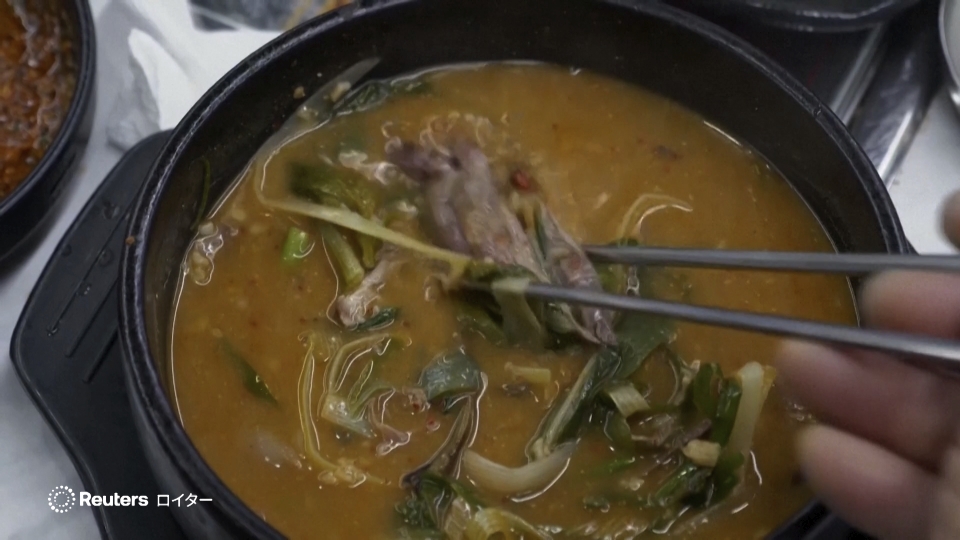 韓国では伝統的に一年で最も暑い時期に、夏バテを防ぎスタミナがつく滋養食を食べる「ポンナル(伏日)」という風習がある。だが2027年2月の食用犬肉販売全面禁止を前に、伝統料理「ポシンタン(補身湯)」は終わりを迎えようとしている。