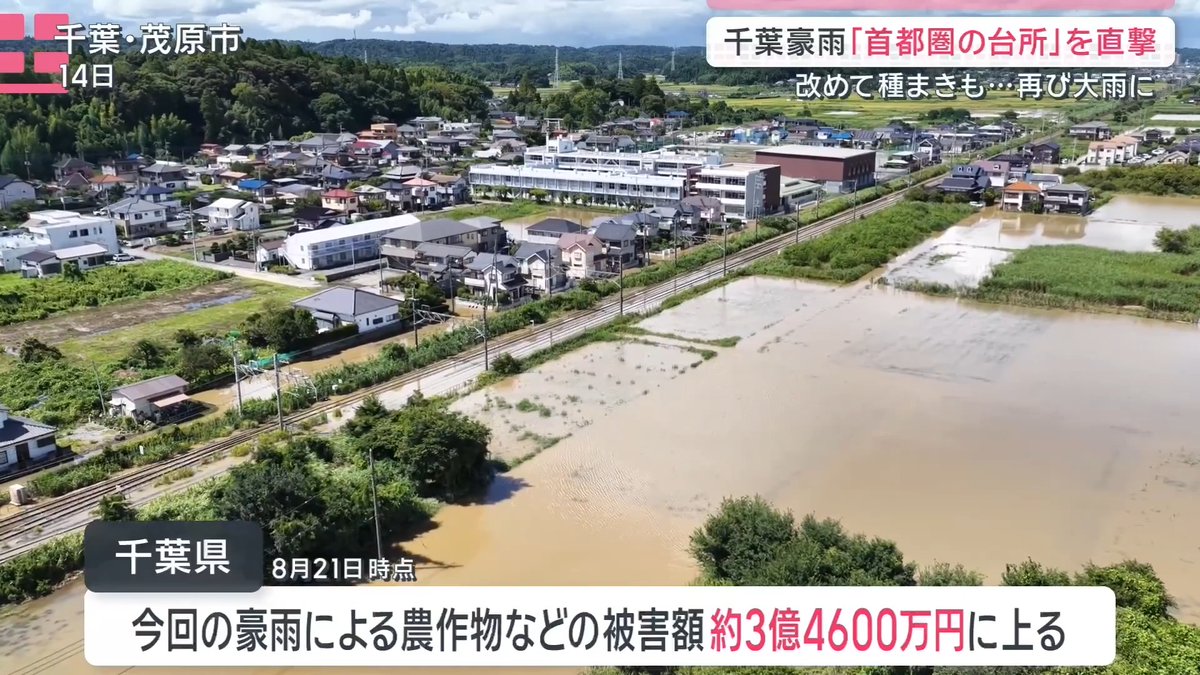 【千葉豪雨】「農業だめかも」農作物などの被害額は約3億4600万円に ｜ 千葉市の農家は8月上旬に植えたばかりのニンジンの約8割が豪雨で土ごと流されてしまった 被害額は年間の売り上げの3分の2にあたるという 笑顔のさと 染谷農園 染谷智 代表 「農業だめかもしれない。廃業も頭をよぎった」 千葉県によると、豪雨による農作物などの被害額は約3億4600万円に上る 染谷さんは22日に改めてニンジンの種をまいたが、取材を終えた後の午後に再び大雨が畑を襲った ▼田畑が“水害の抑制”に？「田んぼダム」 田んぼダムとは、大雨が降った時に田んぼの中に一時的に水をためて川に流れ込む水の量を減らし、ダムの代わりとして活用する仕組み 国は『河川を増強して水を受け止める』というこれまでの方針から、河川の流域全体で洪水被害の軽減を図るという方針に転換 鶴岡さんは、茂原市で田んぼダムを進めている 仲間の32の農家が参加し、19haが田んぼダムとして活用されている 今回の豪雨で茂原市は水害に見舞われたが、田んぼダムに参加する農家が増えれば、より被害を防ぐことができるという 早野地域資源保全会 鶴岡明男 会長 「一番多い人では(対応する場所が)25カ所あります。耕作者1人に任せきりで、大変な労力になる。組織としてどうするかが1つの課題」 田んぼがあるところなら全国どこでも簡単に対策できることが利点 新潟大学農学部 吉川夏樹 教授 「特にポテンシャルが高いのが水田」 「現存する水田で、これまで以上に貯留能力を高めることが重要」 サタデーステーション