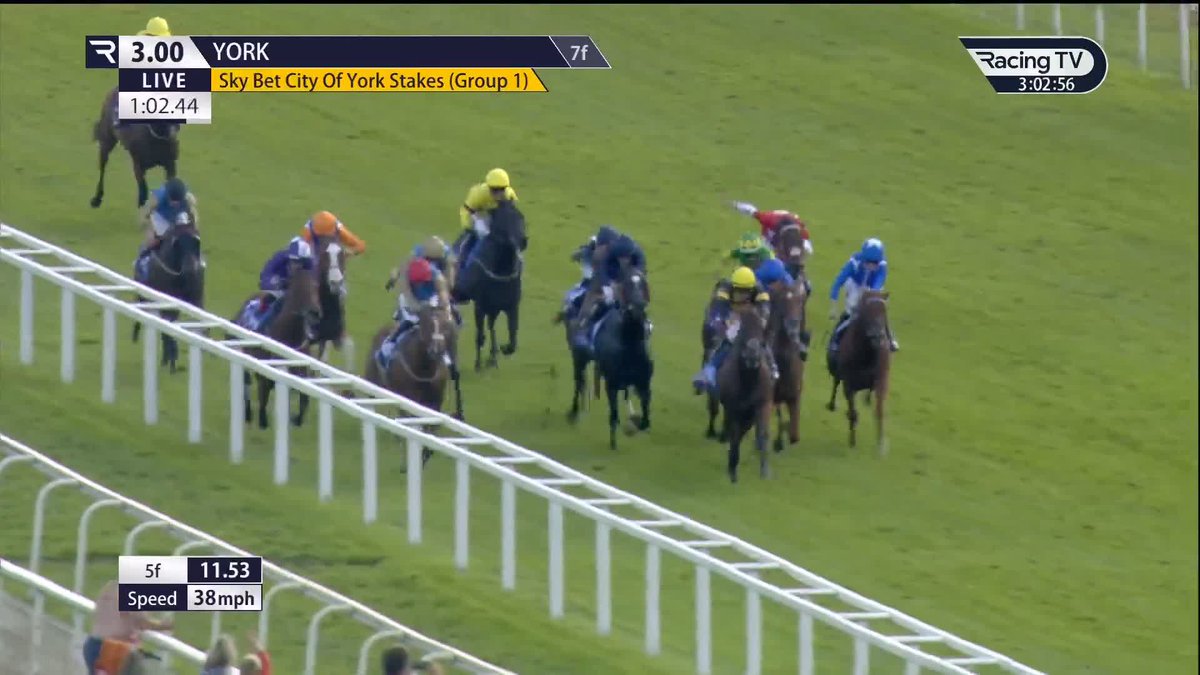 Six Group 1s! Notable Speech flies on his first start at 7f and proves all class in the £600,000 Sky Bet City Of York Stakes York Racecourse William Buick | Godolphin
