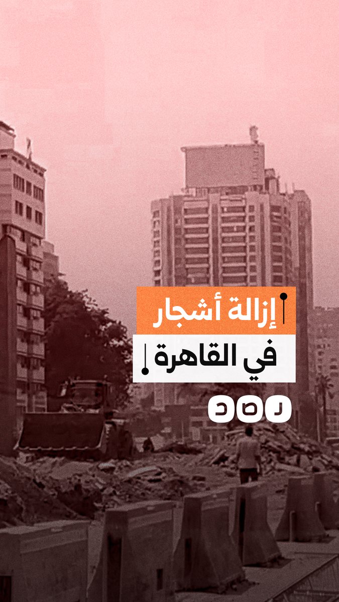 مشاهد لإزالة الأشجار بشارع جامعة الدول العربية تثير مخاوف من تراجع المساحات الخضراء في المنطقة
