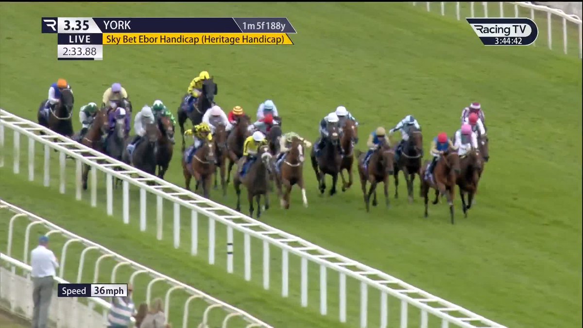 Daiquiri Bay prevails in a terrific finish to the £500,000 Sky Bet Ebor for Rossa Ryan and Alan King! York Racecourse