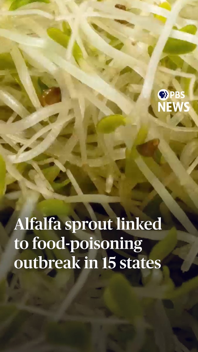 Federal health officials are warning of another food-poisoning outbreak related to contaminated produce. This time, it’s alfalfa sprouts. The FDA and the CDC confirmed that as of Friday, 55 people have fallen ill across 15 states with either salmonella or E. coli, or — in rare cases — both. They said the real number is likely higher. At least four people have been hospitalized as of Friday, and no deaths have been reported. Officials link the outbreak to Minnesota grower Everything Sprouts, which also sells its alfalfa sprouts under the brand name Calco. Consumers are advised not to eat the sprouts.