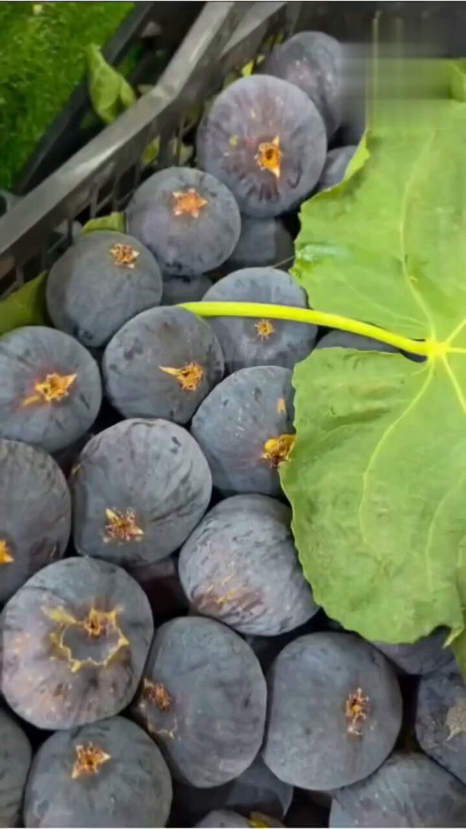 🍈 كرموس سوق أهراس… حلاوة المذاق وأصالة الأرض. منتوج محلي مميز، يستحق أن يُتذوّق ويُفتخر به. 🇩🇿