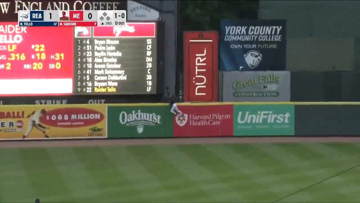 Robbery of the year candidate? 😳 (via Minor League Baseball)