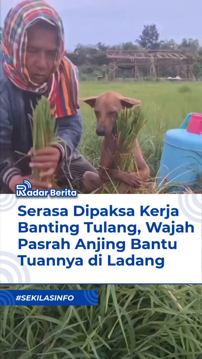 Kok bisa nurut 😭