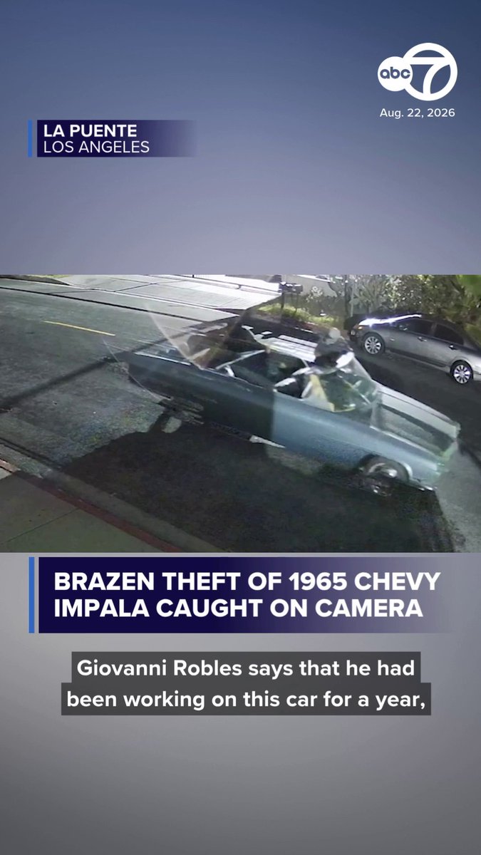 A group of masked thieves was caught on surveillance video stealing a restored 1965 Chevrolet Impala from a La Puente body shop. The group broke a lock, opened the shop's gate and rolled the Impala out of the lot and onto the street. The thieves then used a two-wheel dolly to take the car. Read more: