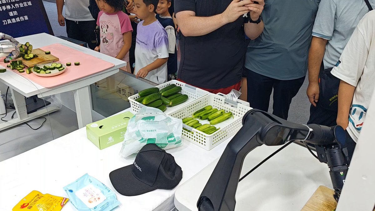 VLAできゅうりの皮むき 商売にはならないだろうが、技術的にはかなりすごい #世界ロボット会議 #WRC2026 北京の #DEXMAL のモデル