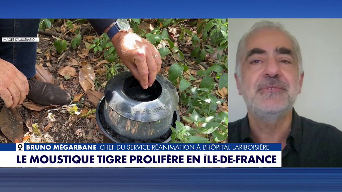 Face à la prolifération du moustique tigre en France, Bruno Mégarbane, chef du service réanimation à l'hôpital Lariboisière, explique les bons réflexes à adopter, dans #LaMatinaleEte Toute l'info est à retrouver sur