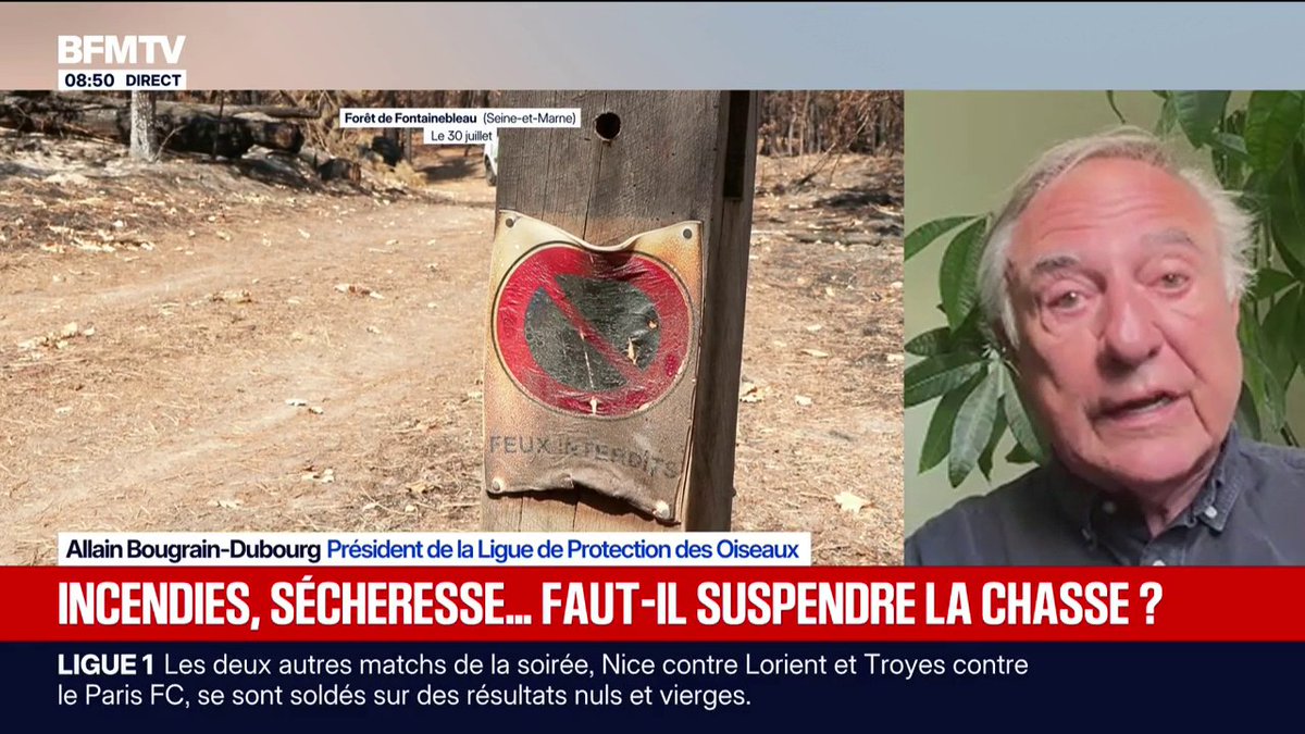 Sécheresse: "On assiste à une situation complÚtement inédite et dramatique pour le gibier d'eau", explique le président de la Ligue de Protection des Oiseaux
