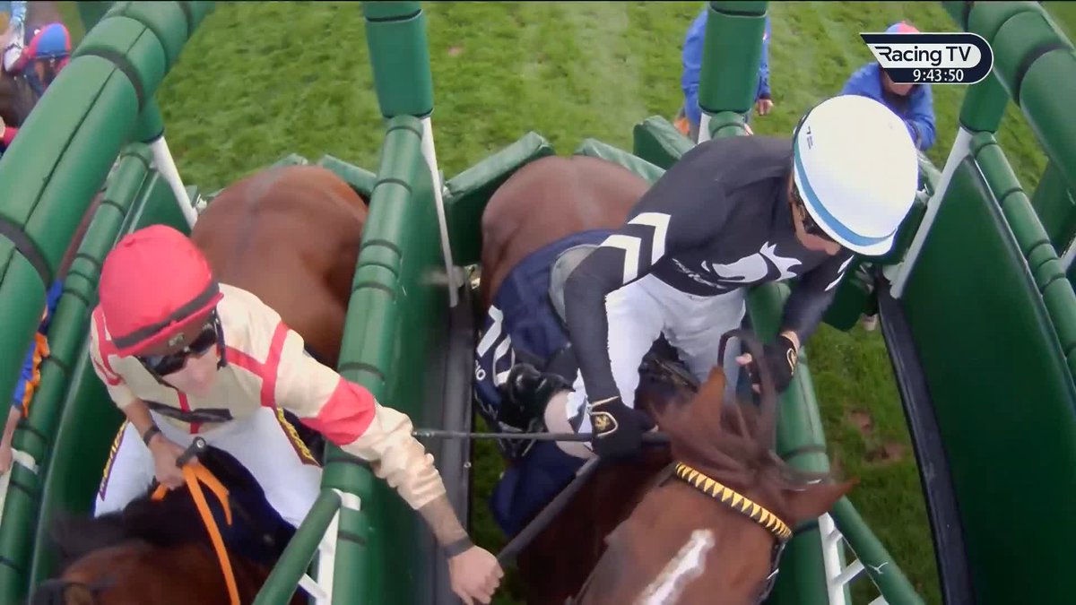 Sweet moment York Racecourse Help and pats for Coolmore Nunthorpe winner Bacio from rival jockey Kevin Stott 🥰 #LuckOnSunday | World Pool | Nick Luck