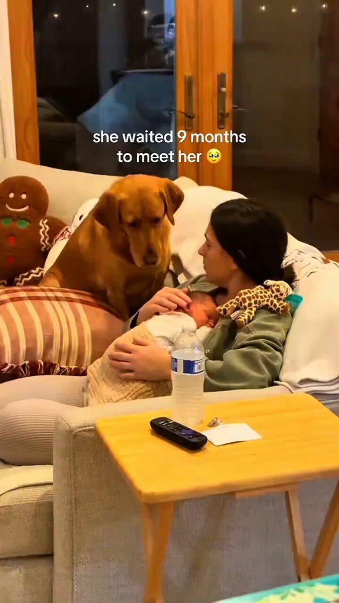 When your dog meets the newest member of the family 🥹