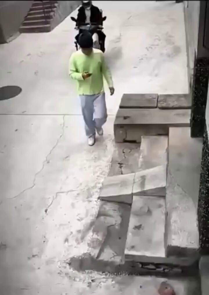 This one made me laugh than anything I've ever seen