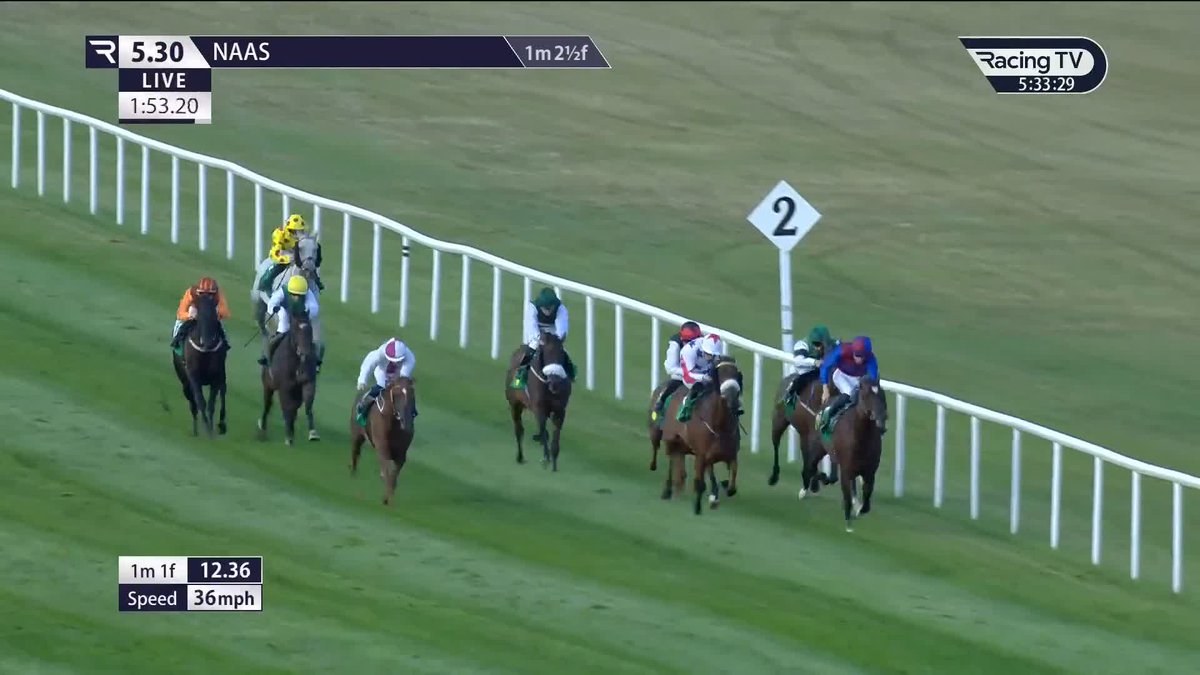 What a finish! 🚀 Minella Rocket finishes best of all to narrowly deny Port Of Spain on the line in the Naas Racecourse finale for John Nallen and Reese Holohan 💥