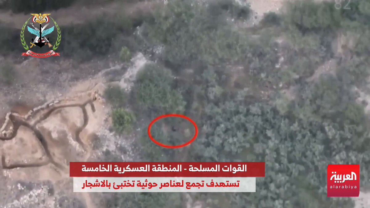 الطيران المسيّر للقوات الحكومية اليمنية يطارد ويستهدف عناصر من ميليشيات الحوثي حاولوا الاختباء تحت الأشجار الكثيفة
