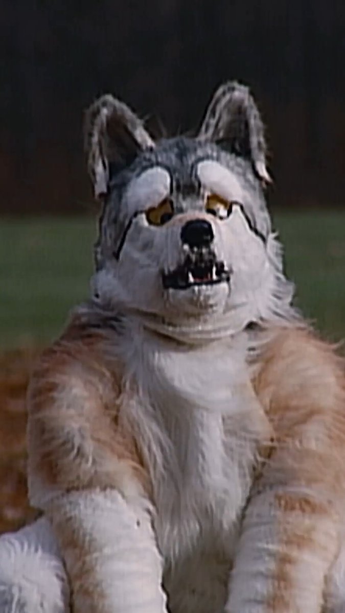 Man becomes a WOLF in homemade suit 🐺 #weirdtrueandfreaky #wolf #wolfsuit