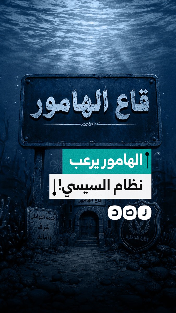 ترند قاع الهامور يرعب نظام السيسي ولجانه.. ما القصة؟