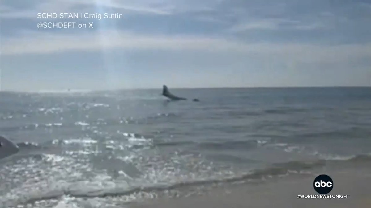 Faith Tenkley, 23, survived and safely landed her plane in the Atlantic off Boca Raton, Fl after a mechanical failure and broken landing gear. Andrew Dymburt reports on the stunning water landing as she avoided paddleboarders before rescue crews arrived.