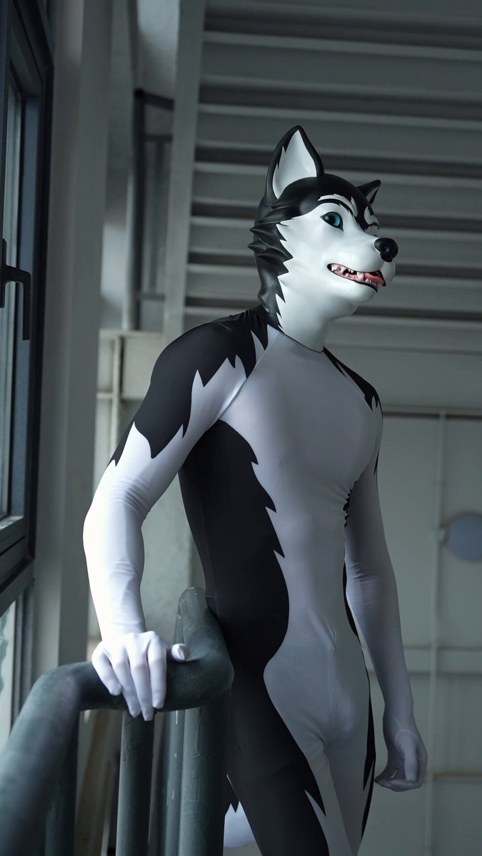A spandex Husky or a silicone Husky? Spandex gives you freedom. Silicone gives you control. #furrjoi #silicone #spandex