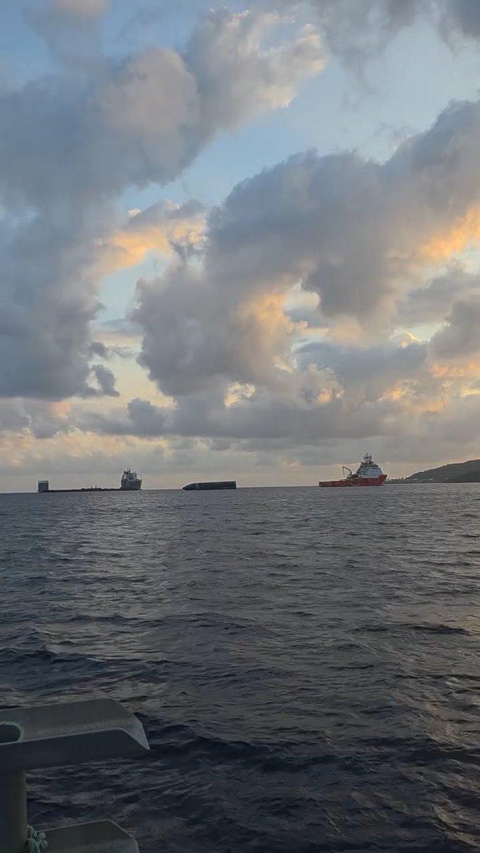 Vessel Forte and Ship 40 are getting acquainted out at sea before their perfect mating later.