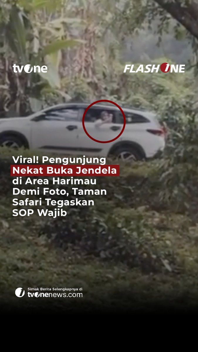 Sebuah video viral di sosial media yang menunjukkan pengunjung di Taman Safari Indonesia nekat membuka jendela mobil di area harimau demi mengambil foto/video dengan ponsel. #ForYourInformation #CariBeritaditvOne #TamanSafari #Harimau #BeritaBogor #Viral #SD01 #SV19