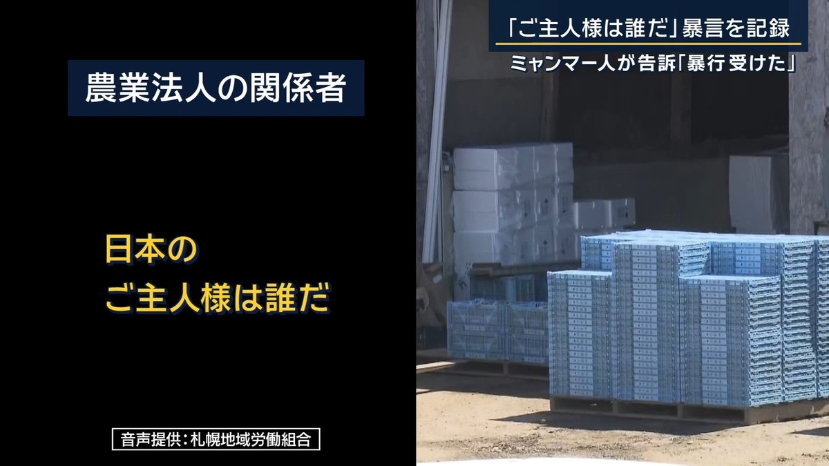 【ミャンマー人が告訴“日常的暴力”】「ご主人様は誰だ」 | 北海道・京極町の農業法人で特定技能労働者として働いていたミャンマー人男性が、日常的に暴力を受けていたとして、法人関係者2人を暴行と傷害の疑いで刑事告訴 金属製の棒で頭や腕などを繰り返し殴られるなどの暴行を受けたと訴え ▼“日常的な暴力”の内容は… 農業法人の関係者 「日本の法律ってそうやって決まっているんだ。わからんか、このやろう」 「ちょっと来い、来いってだから。教えてやっから」 別の日には… 農業法人の関係者 「日本のご主人様は誰だ。お前たちの先生は誰だ、お金くれる人は誰だ」 「そんなんだったら明日から休憩しないで仕事せえ。休憩も休みもやらんから。やれるんならやれ」 「なんだったら別のやつ呼んで、お前らみんな辞めさせてもいいんだぞ」 「インドネシアに全部取り換えてもいいんだぞ」 札幌地域労働組合は農業法人で働いていたミャンマー人労働者6人を保護 職場で繰り返されていたのは、暴行や暴言、セクハラだったと証言 農業法人の関係者 「仕事する気ないなら帰れ。今すぐ帰してやるぞ」 「在留カード出せ、今すぐ取り消してやるから出せ」 被害を訴えるミャンマー人 「恐怖のあまり、朝起きるのも怖くなった」 「夜が明けて仕事に行ったら、またどんなつらい目にあうのか。また虐待を受けるのか、また蹴られるのか、またやられるのか」 「そう考えて、起きるのがとても怖かった」 「雇用主は女性に対して少しいやらしい目で見ていたと思う」 「お尻を見たり叩いたり、胸を手で押したりしていた」 他にも、契約通りに休みを取れない、賃金の未払いがあったと訴え インドネシア人の同僚 「この問題があって…」 (Q.明日からは違う職場に行く) 「うん、そう」 ▼刑事告訴された2人の人物は… 農業法人を実質的に取り仕切っているとされる親子で、町議会議員でもある父親と次男 →それぞれ“社長”“専務”と呼ばれていたという 農業法人の登記簿には2人の名前は役員欄になく、代表取締役も別の人物 →農業法人と同じ住所に似た名称の別会社が登記 別会社の役員欄には刑事告訴された親子2人の名前があり、そこは外国人の『技能実習生』を受け入れていた 2022年3月、国は別会社の技能実習計画の認定を取り消し →理由は「技能実習生の人権を著しく侵害する行為を行った」というもの 厚生労働省などによると、技能実習計画の認定を取り消された法人やその処分の原因となった当時の役員などは、原則取消しから5年間、特定技能外国人を受け入れ不可 ミャンマー人労働者らが被害を訴えている農業法人の設立は、別会社への処分から1カ月半後 札幌地域労働組合は、名義上の代表者には勤務実態がなく、業務の指示も親子が出していた →実質的に「親子が経営を担っていた可能性がある」と指摘 先週のANNの取材には、暴行などについて「調査・精査中」としている ▼日本への印象に変化も 被害を訴えるミャンマー人 「親は『日本に行くな』『別れたくない』と言いました」 「私はいかに日本が美しく、日本人が優しいかを考えて、一生懸命働こうと来日しました」 「今は全然希望がない。やり切れない。仕事を続けることも同じ目に遭うことも怖いです」