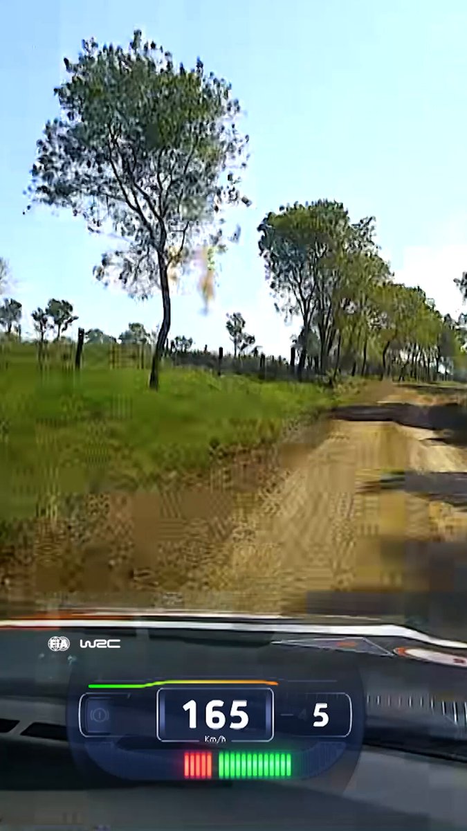 Hang on tight! #WRC | #uenoRallyDelParaguay 🇵🇾