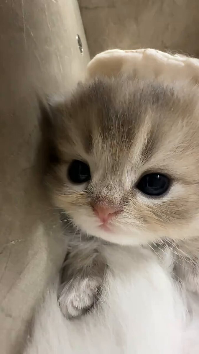 just a tiny baby curious about the world ✨