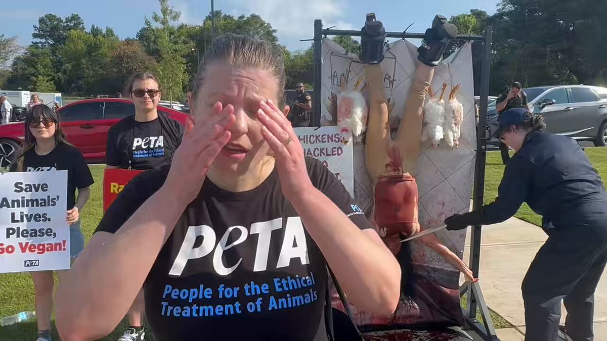 Here’s what a PETA spokesperson told Tuscaloosa Patch during the organization’s protest at the grand opening of Tuscaloosa’s new Raising Cane’s