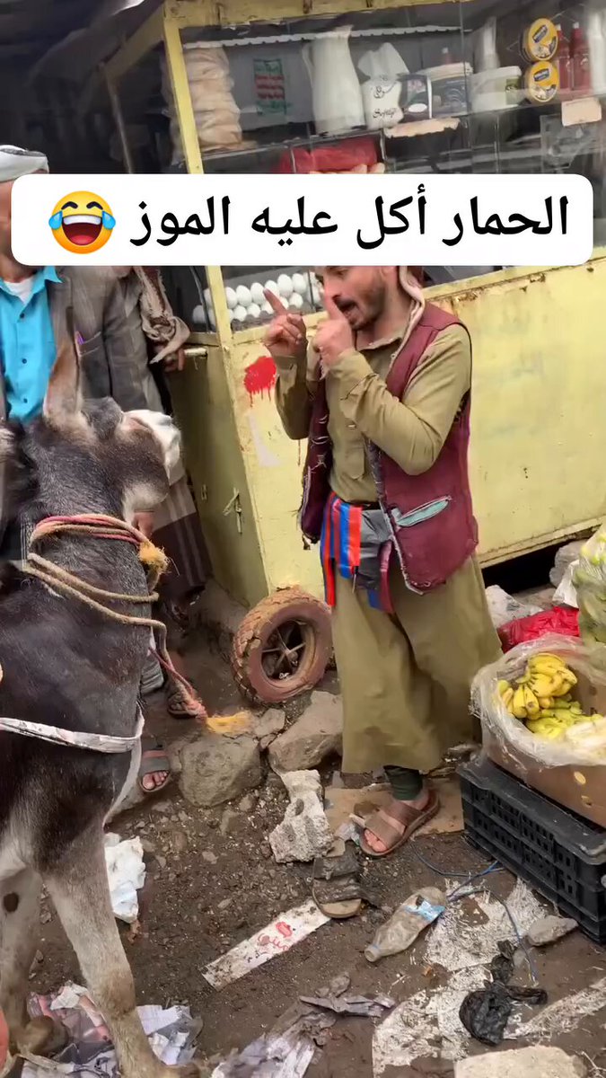 شاب يمني ينتقم من الحمار لانه اكل عليه الموز ومنتظرين من هذا الشعب يتطور