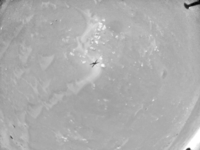 On April 19, 2021, NASA's Ingenuity helicopter completed humanity's first powered, controlled flight on another planet. The brain behind the flight? An open-source Linux kernel running NASA JPL's F′ flight framework on a standard, off-the-shelf smartphone processor. From consumer smartphones to the surface of Mars, open-source software continues to push the boundaries of where technology can take us. Video Credit: NASA/JPL-Caltech #Linux35