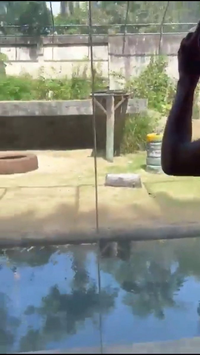 🚨 A 19-year-old man Accident after entering a lioness enclosure at a zoo. Officials said the animal acted instinctively and will not be euthanized.