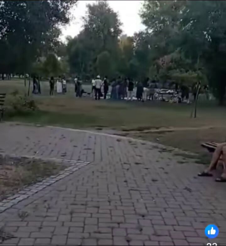 Limanski park u Novom Sadu je okupiran ljudima iz Afrike ili odakle već... Majke sa decom su odlazile jer su stvarali veliku galamu i malo su bili neartikulisani u ponašanju. Sada ih je bilo 30,ali polako, biće ih na desetine i stotine hiljada. Pakistanaca,Nepalaca Afrikanaca...