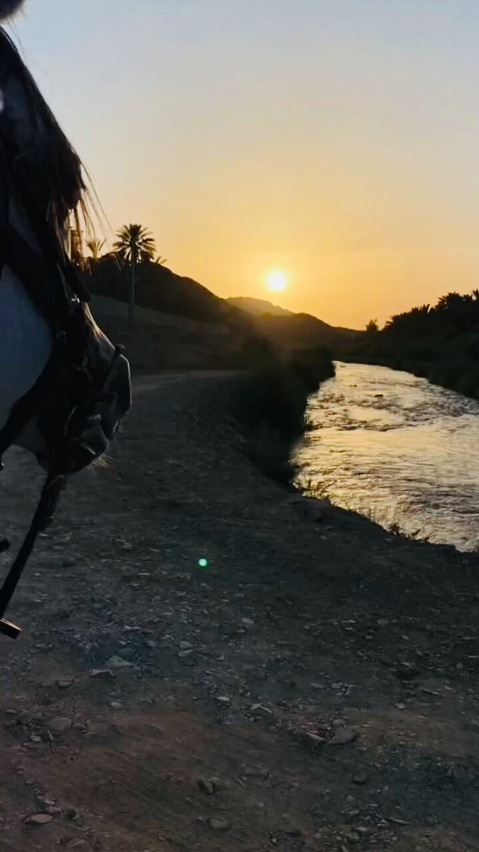 حياة البرزخ اسألُ الله أن يرزقنا جميعًا حُسن الخاتمة.