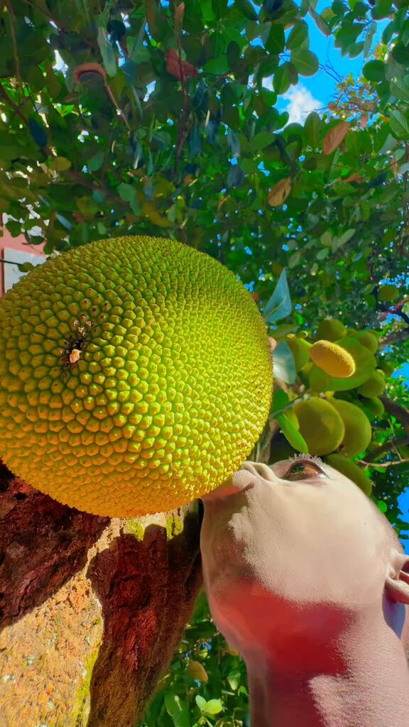 So kweku flick actually paid this guy $5k for this?🤦