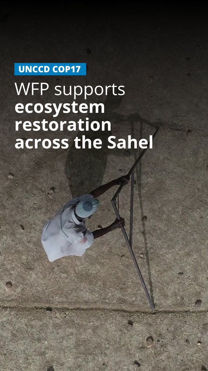 Healthy soils, healthy diets. As UNCCD #COP17 gets underway, see how land restoration techniques are bringing degraded land back to life. Across the #Sahel, WFP supports ecosystem restoration to improve food production, strengthen livelihoods and build more resilient food systems.