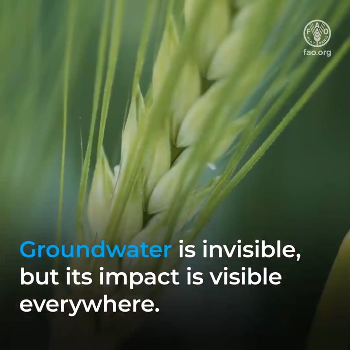 Groundwater is invisible, but its impact is visible in... 🌱 agriculture 🍲 food production 🏭 industry 🌍 ecosystems 🌦️ climate change adaptation We must protect groundwater and use it sustainably. #UNCCDCOP17 #WaterAction
