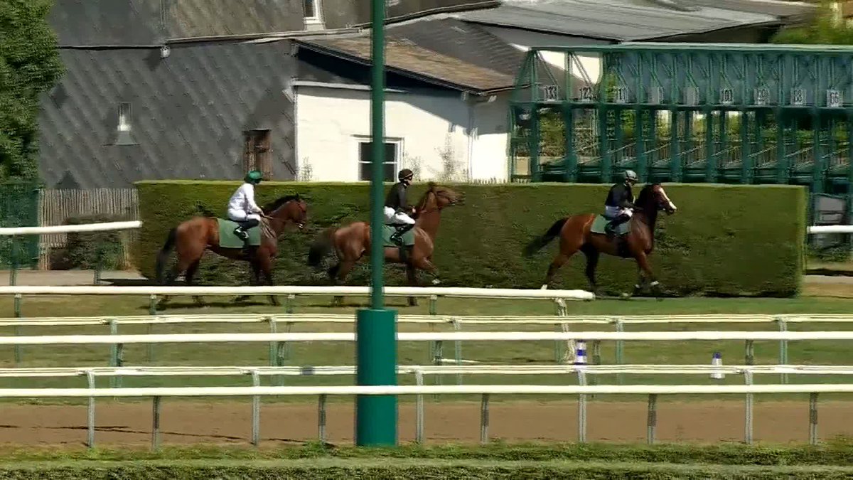 Daryz works at Deauville! ๐คฉ The Arc hero worked before racing and appears to be in rude health ahead of his autumn campaign... ๐ซ๐ท Aga Khan Studs | ๐
๐ซ๐๐ง๐๐ข๐ฌ-๐๐๐ง๐ซ๐ข ๐๐ซ๐๐๐๐๐ซ๐